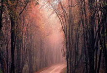 欧战豪门决赛战略静待