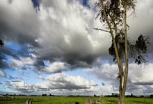 欧洲杯震撼：德国意外不敌意大利，小组赛落败