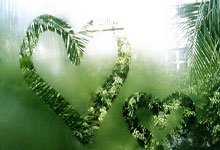 塞尔维特取得关键胜利，跃升积分榜