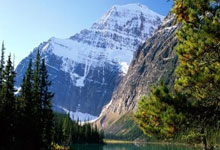 雄鹿巨星披挂全明星战袍，奋力争夺季后赛胜利