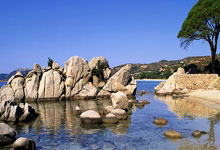 马竞客场逆转皇家社会，保持不败纪录