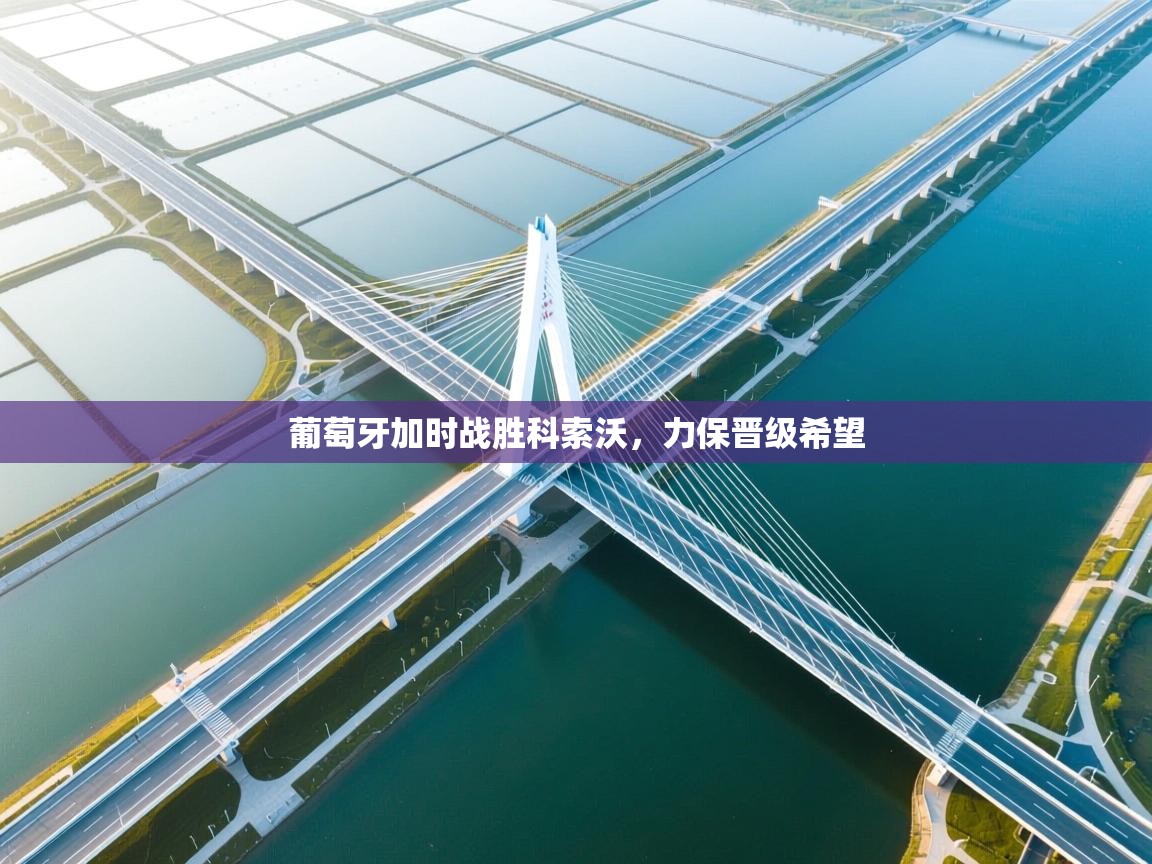 葡萄牙加时战胜科索沃，力保晋级希望