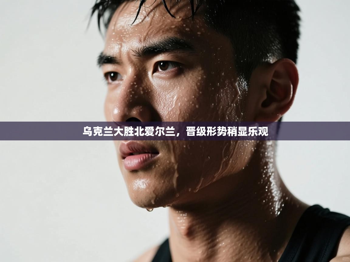 乌克兰大胜北爱尔兰，晋级形势稍显乐观  第2张