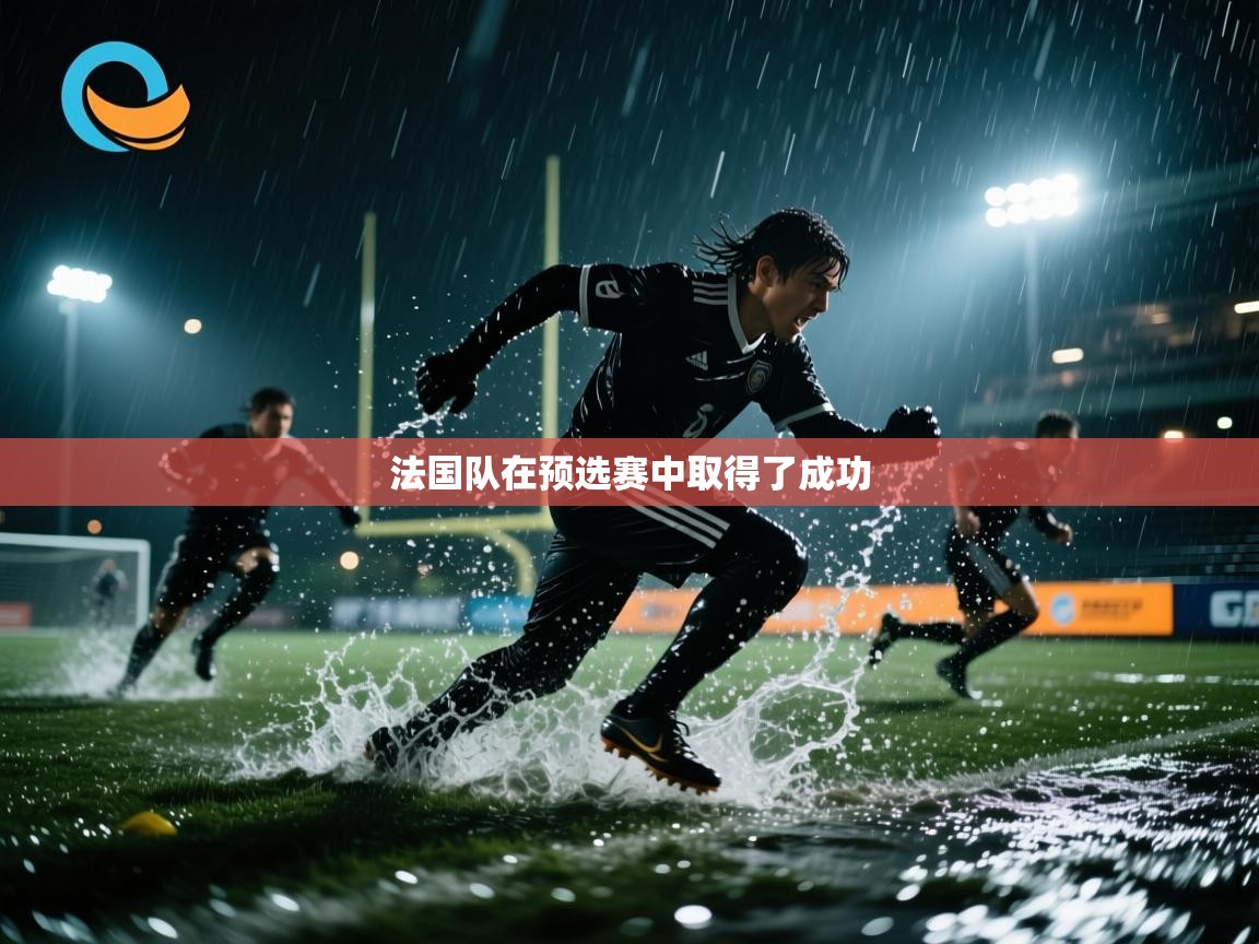 法国队在预选赛中取得了成功  第1张