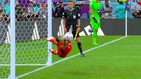 星空体育官网登录入口-阿根廷门将因扑出关键点球成为英雄的简单介绍